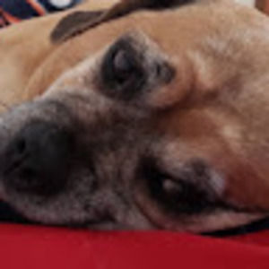 Meet your Posher, Bht